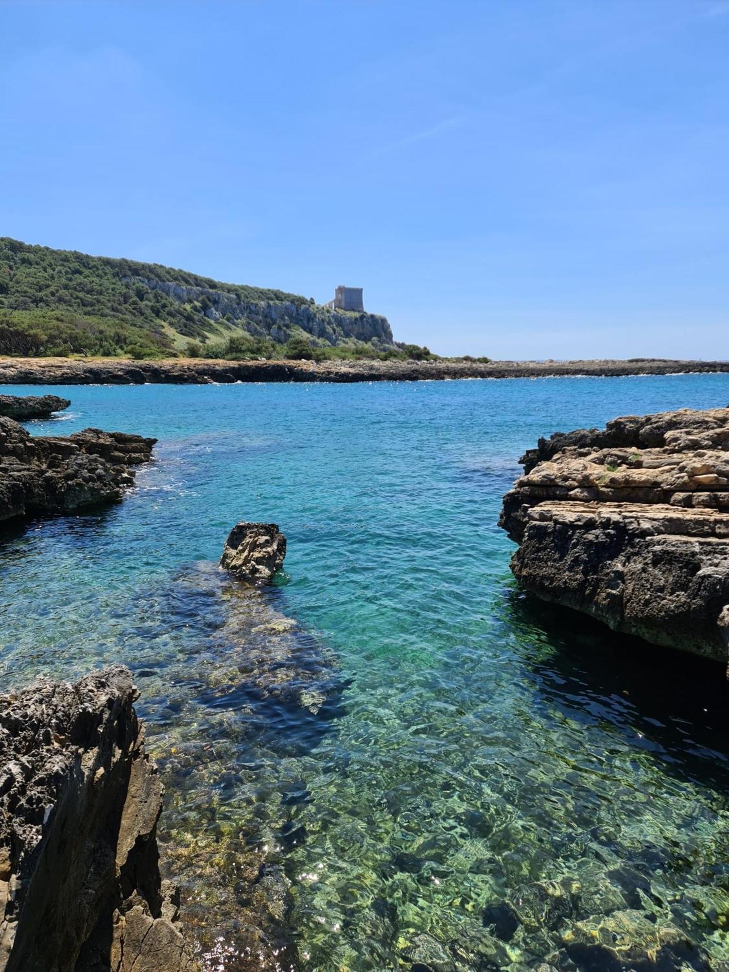 Salento31 *